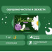 Прокладки гигиенические Naturella Ultra Camomile Night 7 шт