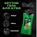 Axe 2 в 1 Гель для душа и шампунь Сила Джунглей 250 мл