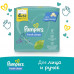 Влажные салфетки для малышей Pampers Fresh Clean, 208 шт