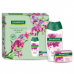 Подарочный набор Palmolive Натурэль Роскошная Мягкость (гель для душа Орхидея 250 мл, туалетное мыло Орхидея 90 гр)