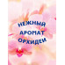 Жидкое мыло для рук Absolut Дикая орхидея, антибактериальное, 1 л