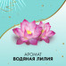 Прокладки ежедневные Discreet Мультиформ Водная Лилия 60 шт